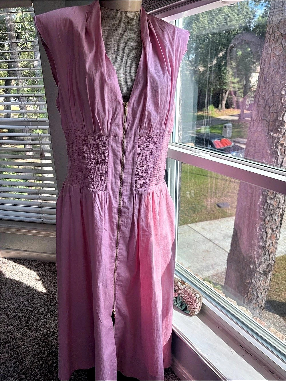 Anthropologie Pink Maxi Dress Gold Zipper Size Large NWT